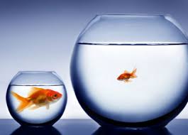 The Curse of&nbsp;Comparison