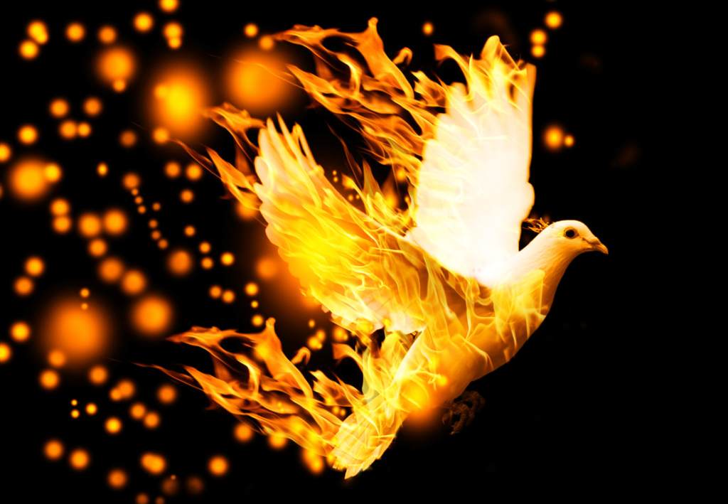 shavuot anew