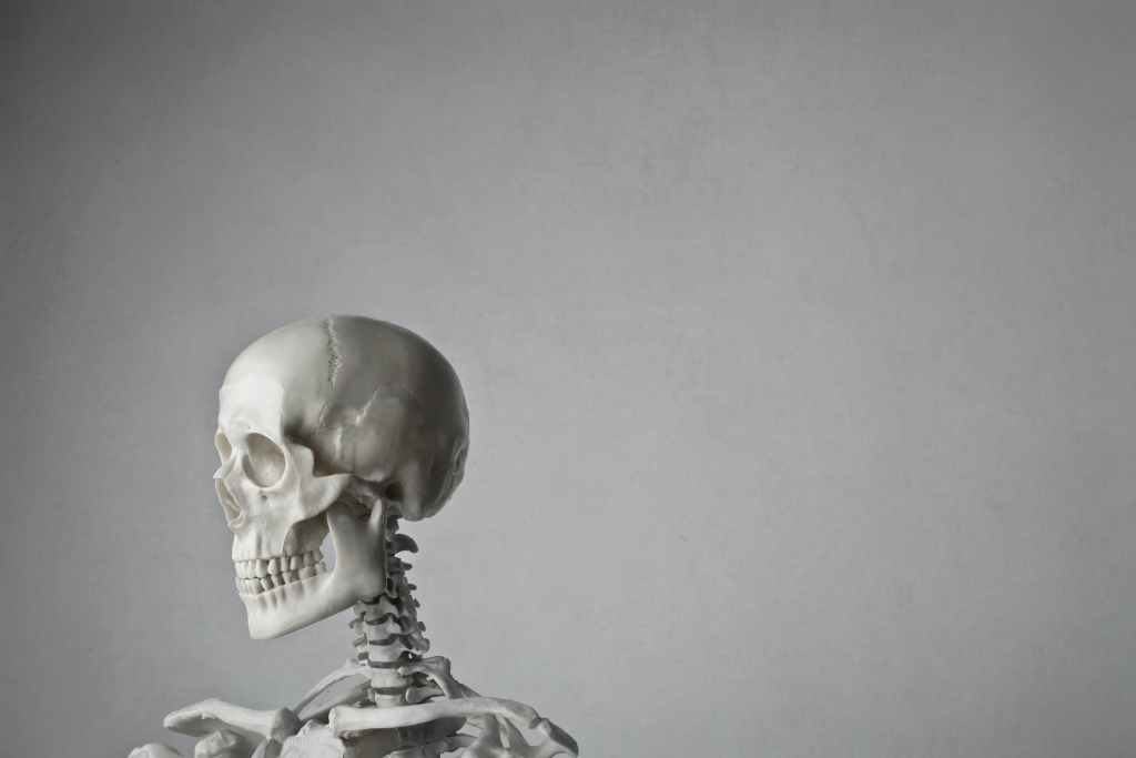 Jagged Bones