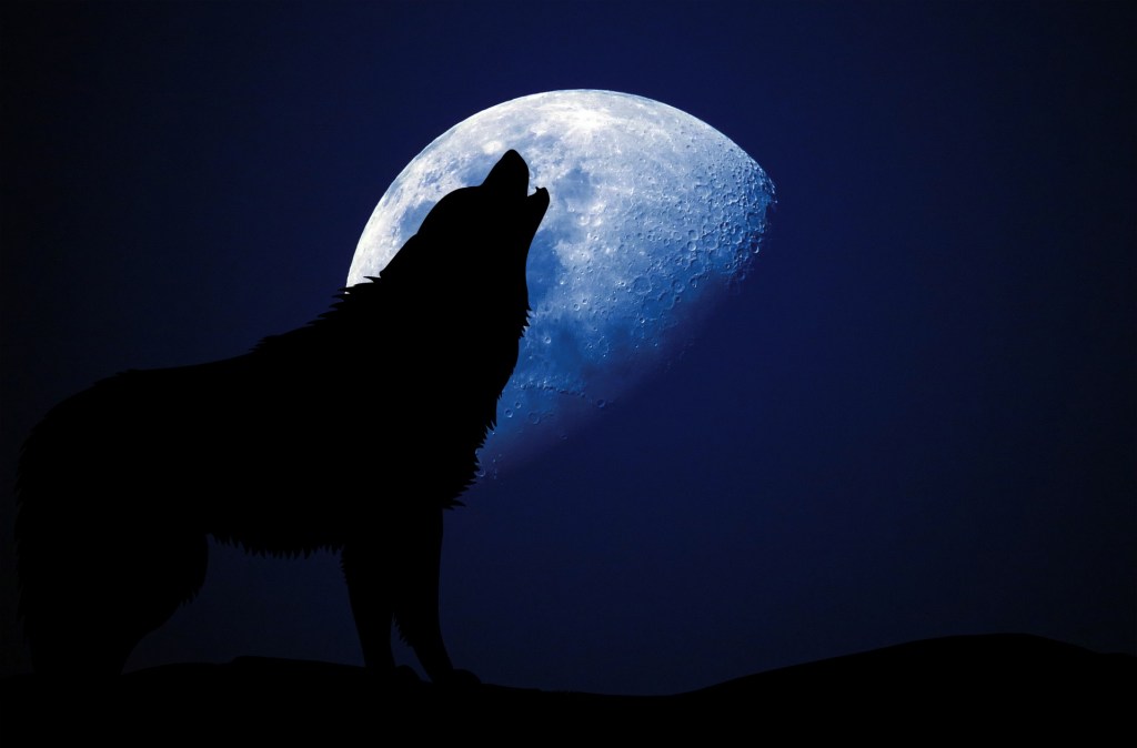 Werewolf