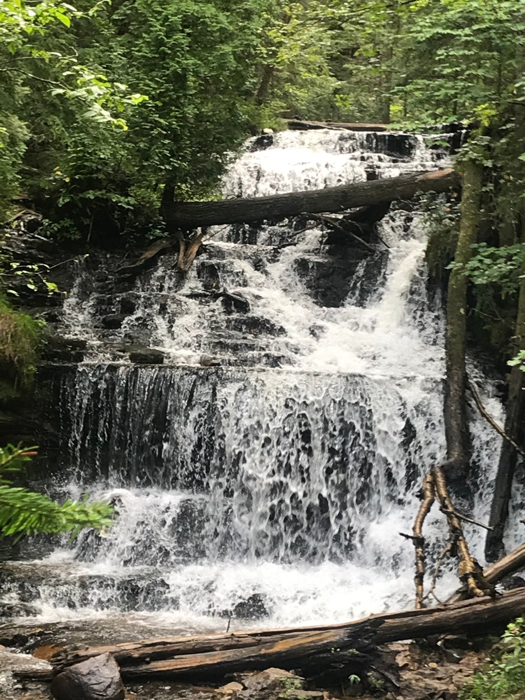 Falling Water