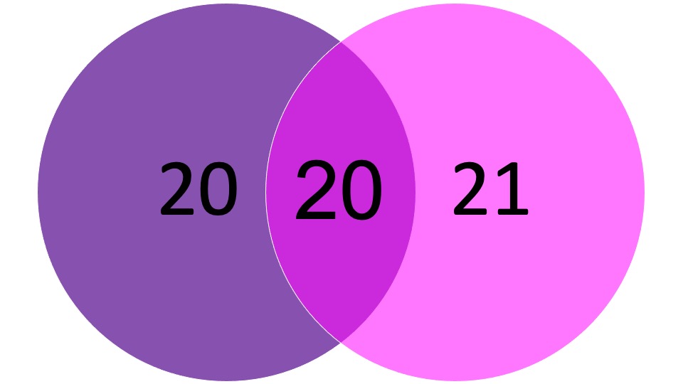 elision 202021