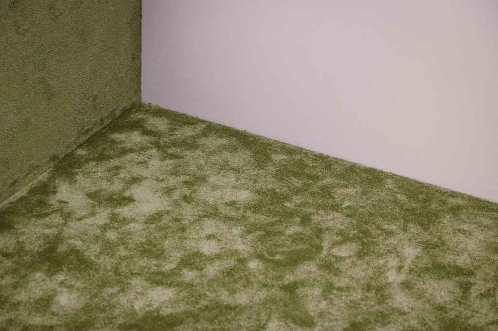 in the corner –&nbsp;#SoCS
