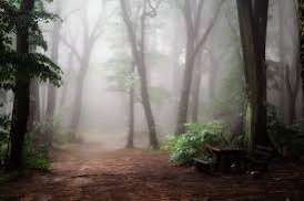 Sonnet XVIII – Fear Not the&nbsp;Poet
