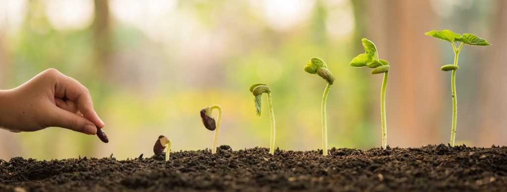slow growth