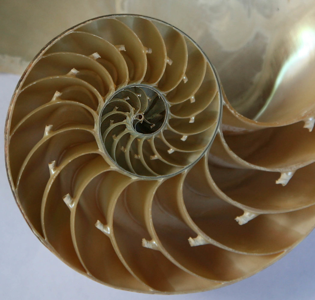spiral