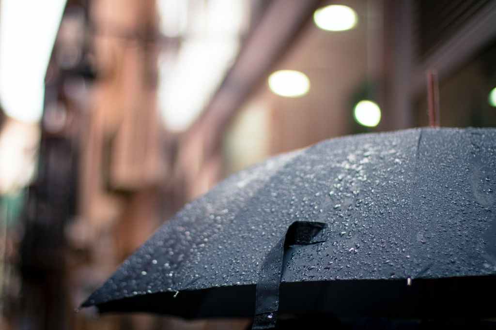 hold my umbrella