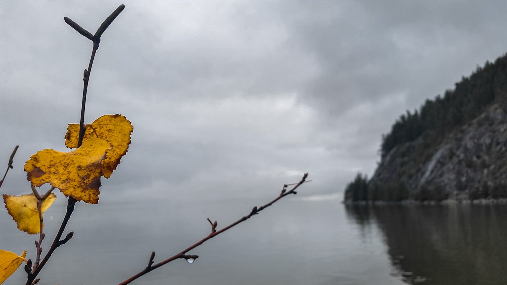 leaving hope behind