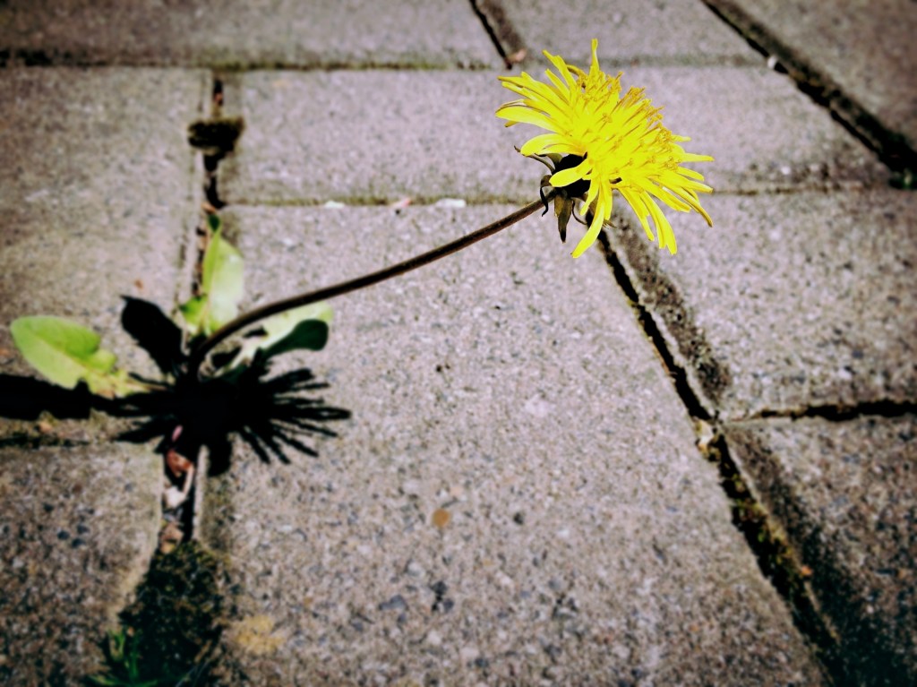 This Thing Called Hope – Sonnet XXXIII