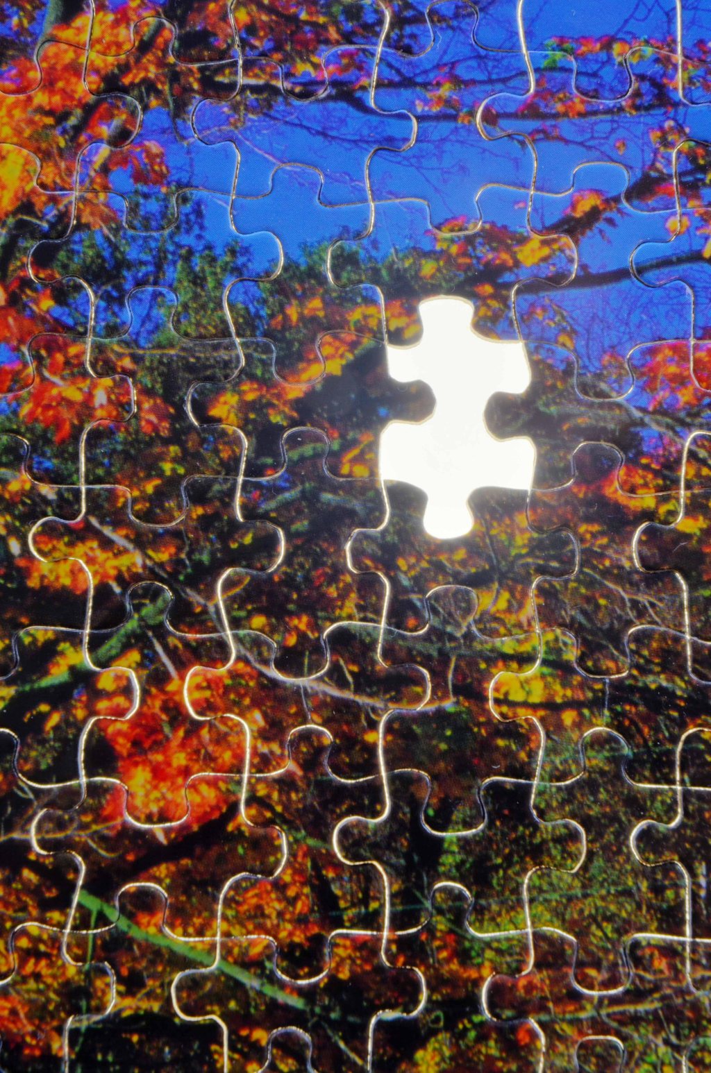 Some Missing Pieces Aren’t Meant to be Filled. –&nbsp;#SoCS