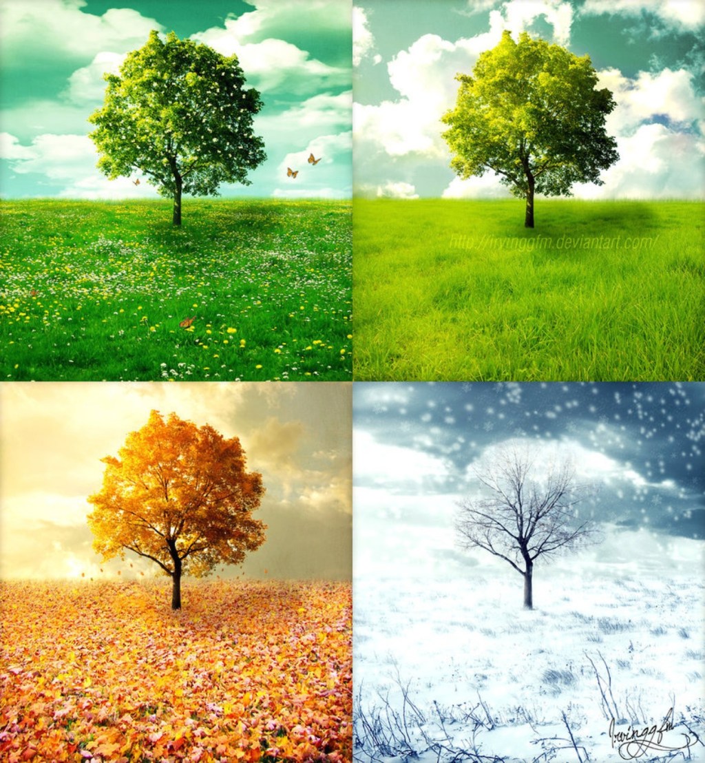 Enjoying the Seasons